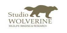 Studio Wolvenerine logo