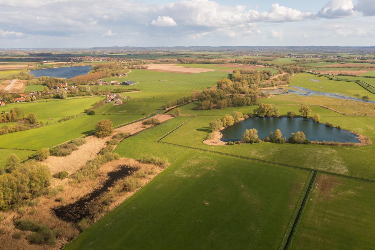 Expositie ‘Het leven onder water in de Ooijse Graaf’