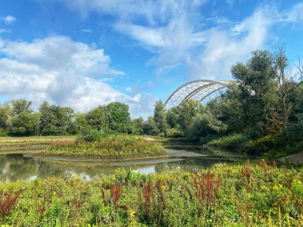 Monding Rijn Wildlife Filmfestival: 'De monding van morgen' (Volgeboekt) | ARK ...