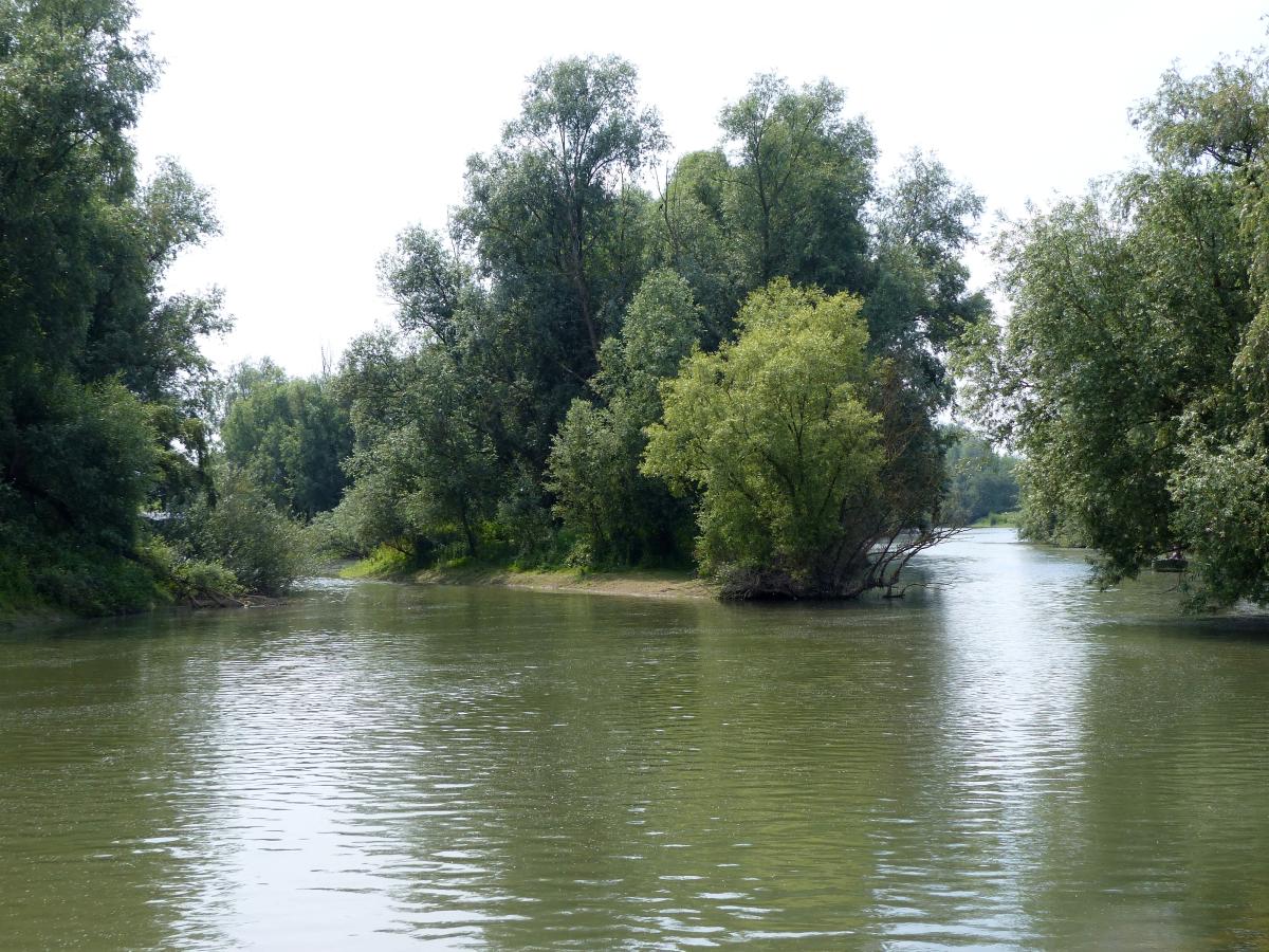 Meestromende geulen maken riviersysteem duurzaam | ARK Rewilding Nederland