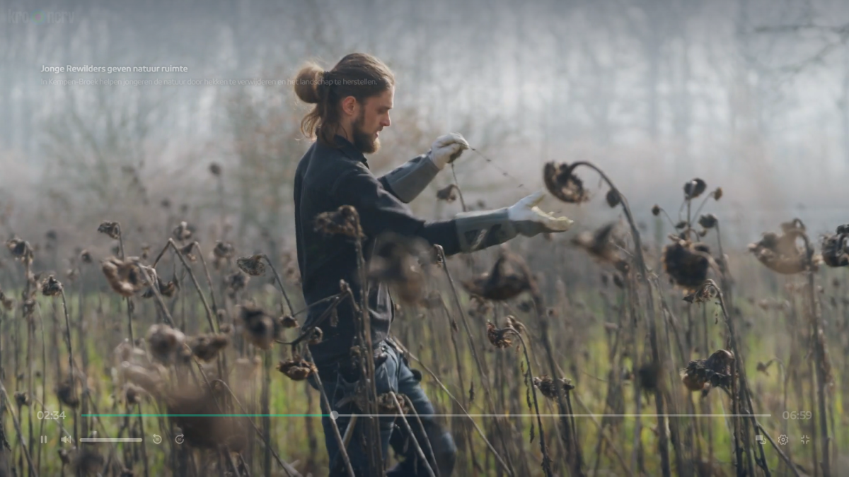 BinnensteBuiten 'onthekt' het KempenBroek met Jonge Rewilders | ARK ...