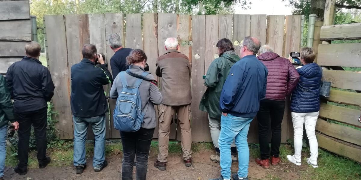 Herten en hindes langs de edelhertenboulevard