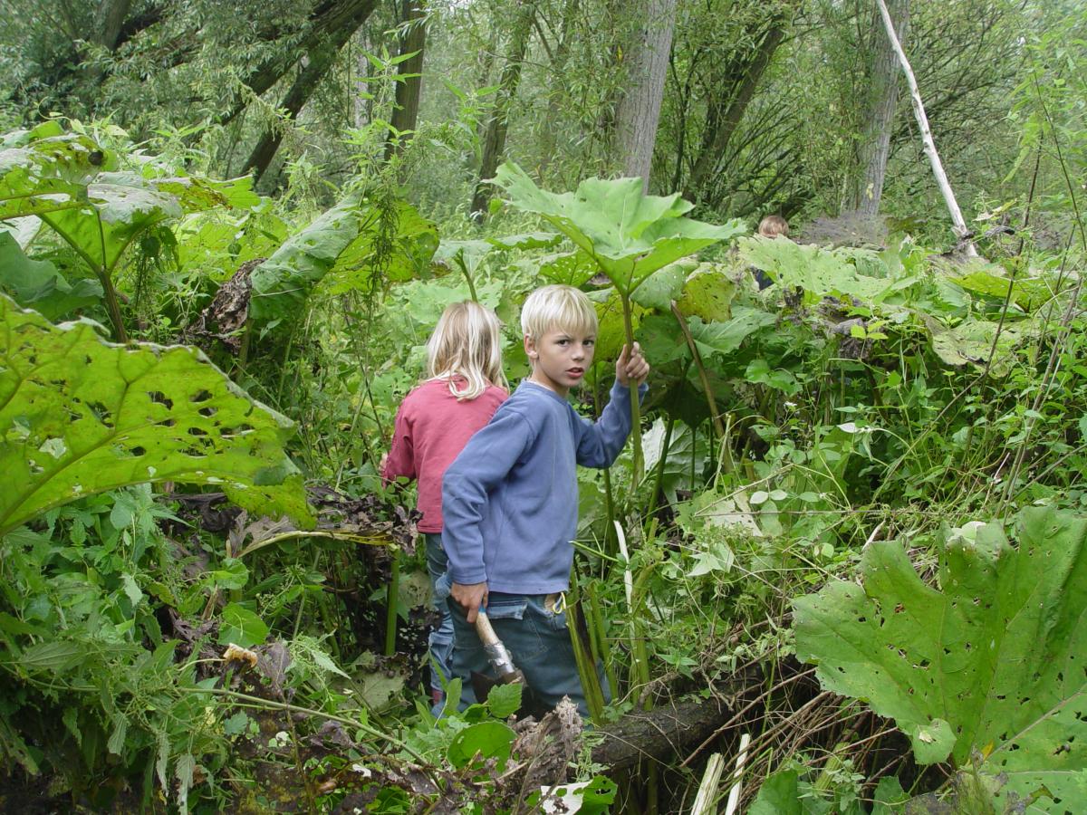 IJsselmonde | ARK Rewilding Nederland