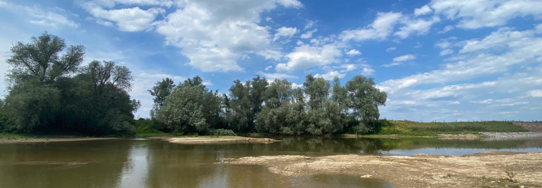 Rivierenlandschap bij nevengeul in de Afferdense en Deestsewaard