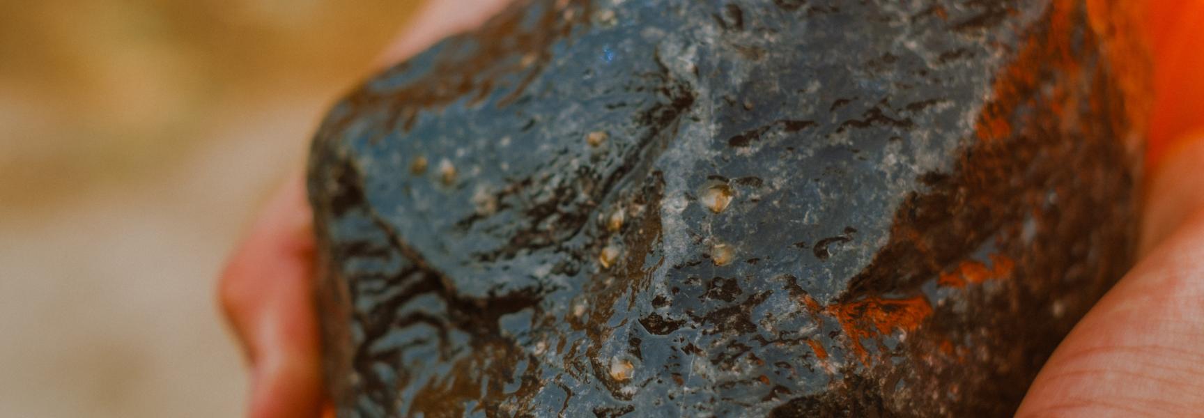 Stortsteen begroeid met jonge oesters. RESO project. 