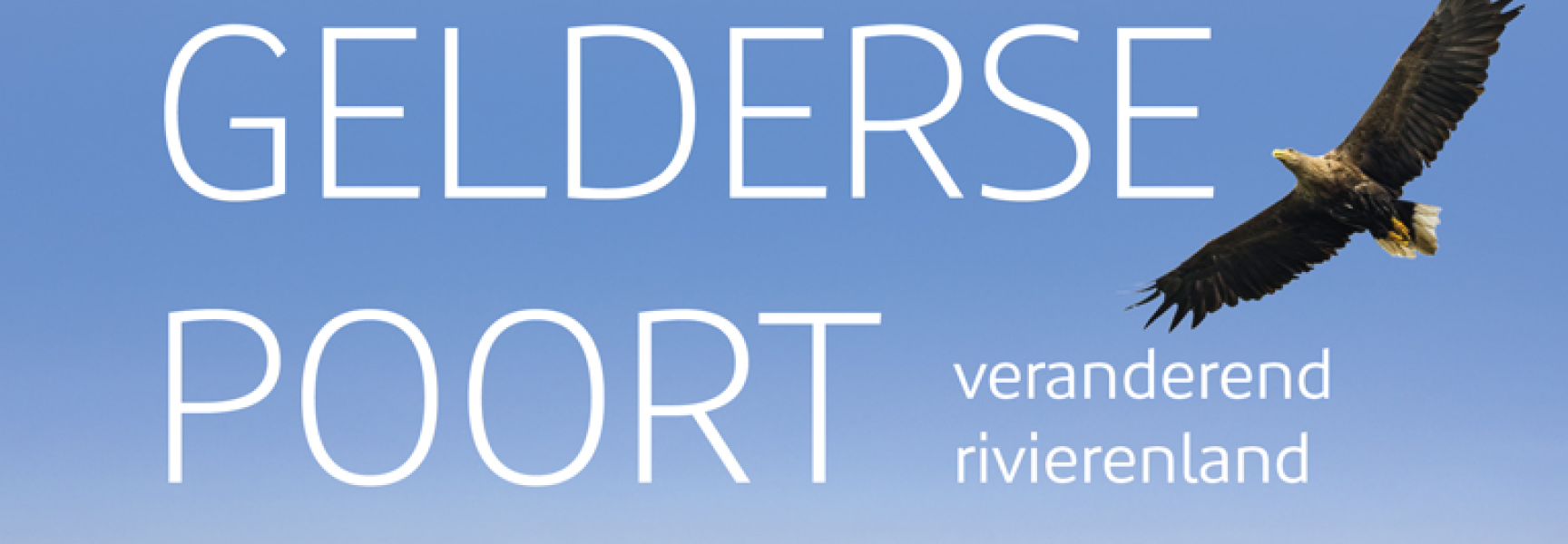 uitsnede cover boek vwn