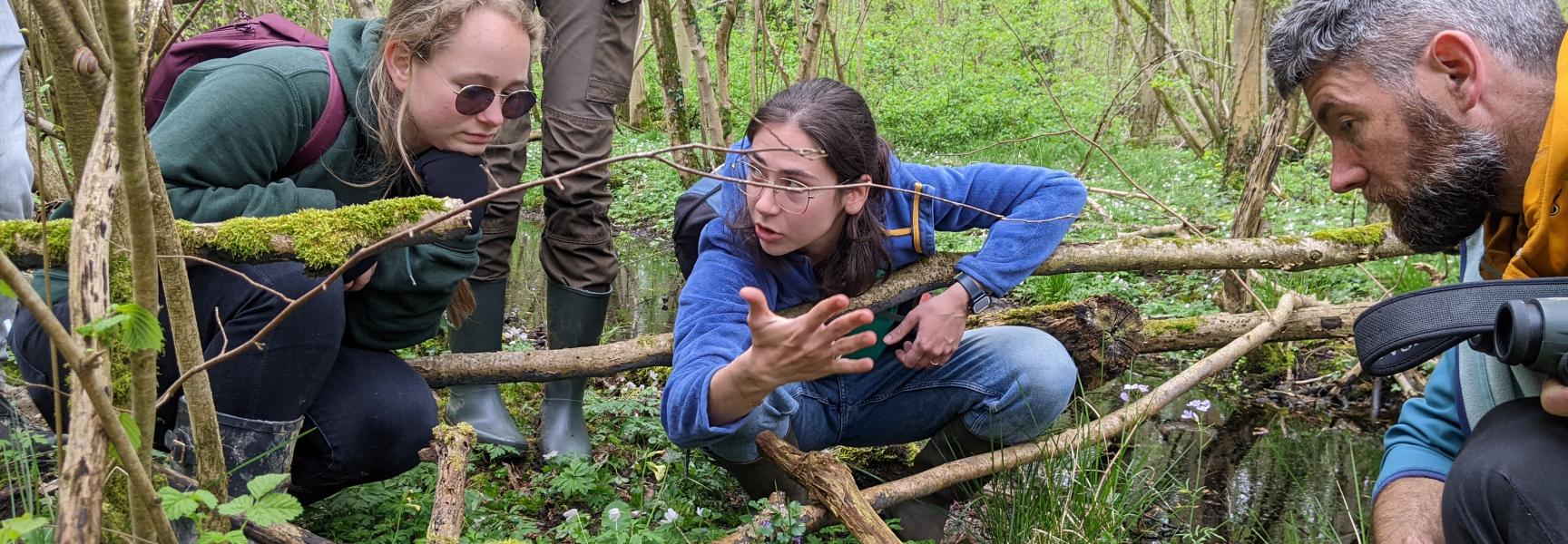 Jongeren op ontdektocht in Het Groene Woud