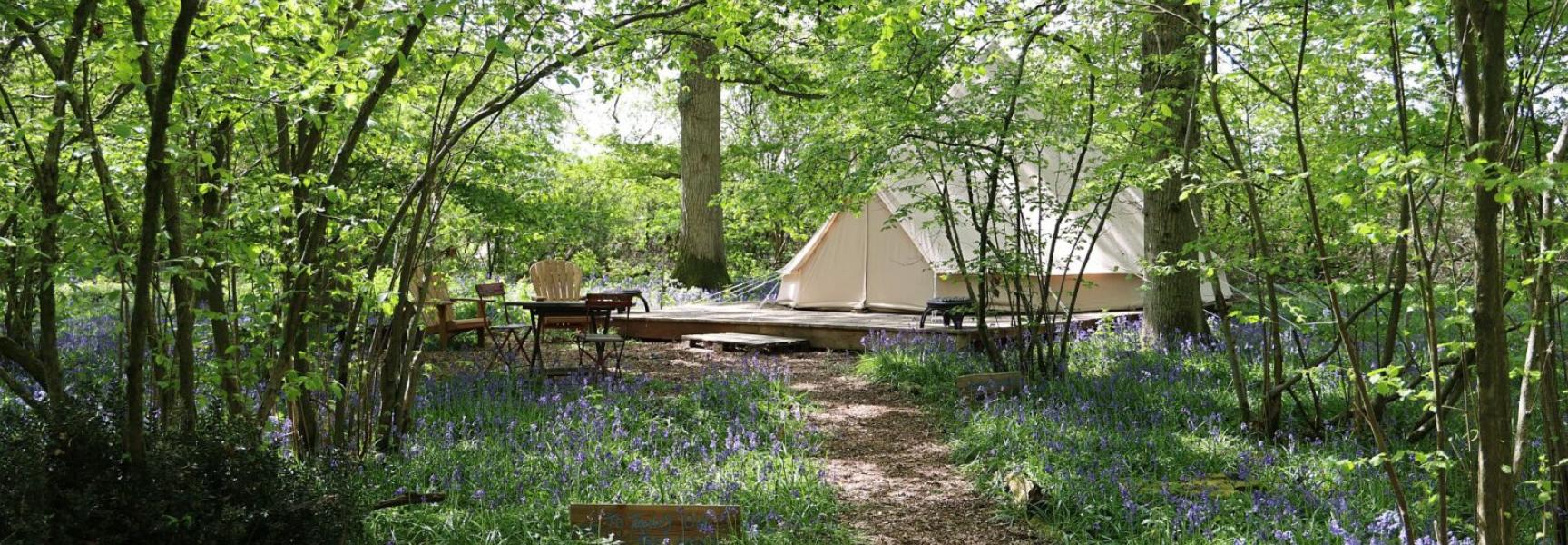 Glamping Knepp Wilding
