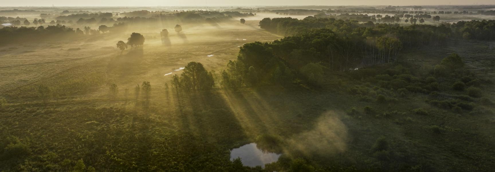 Rewilding in het KempenBroek