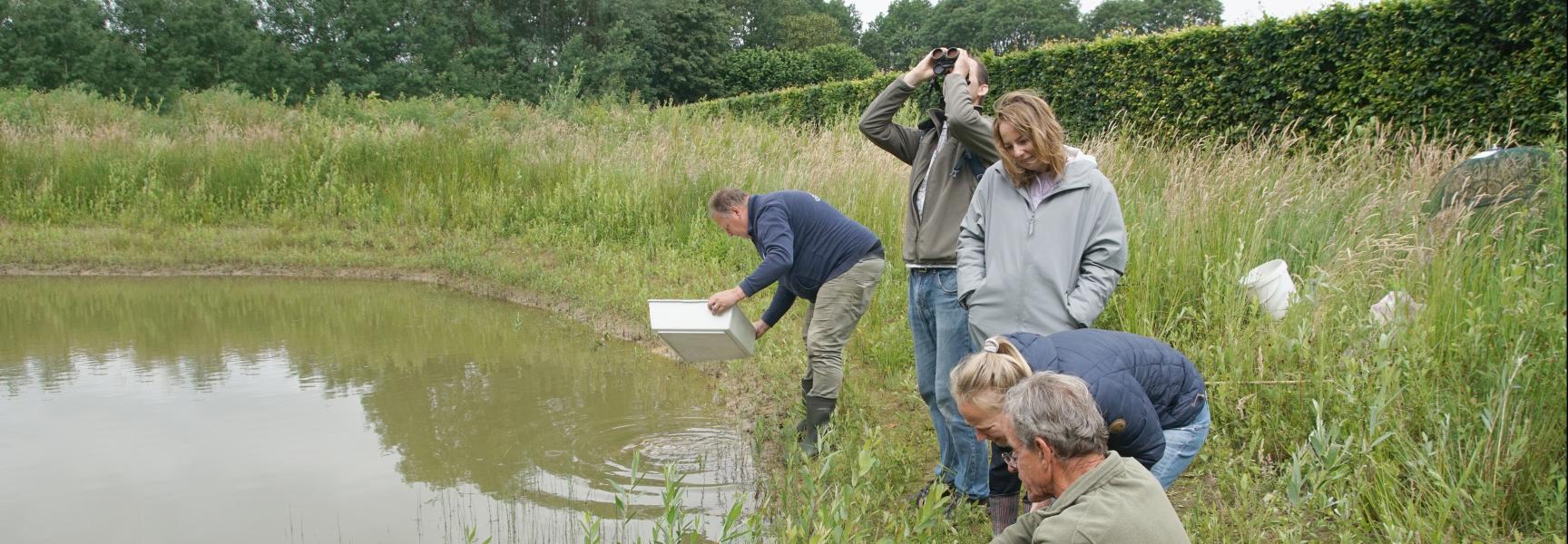 Deelnemers aan de Bioblitz onderzoeken wat er onder water leeft