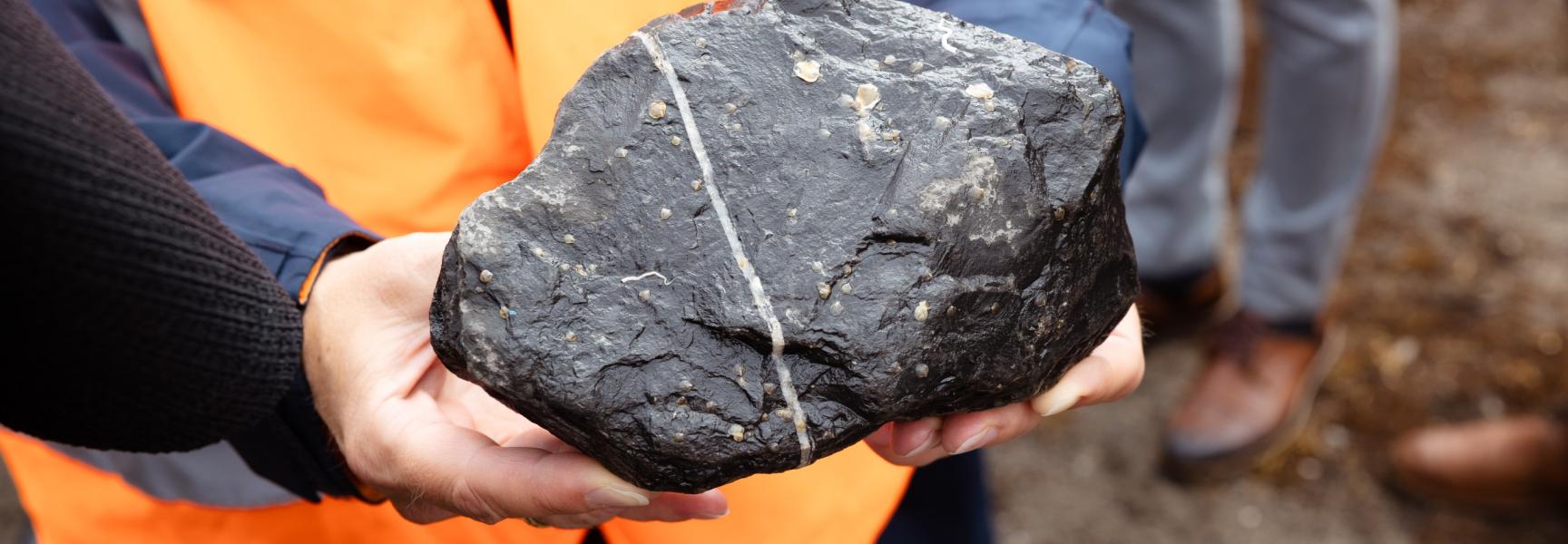 'Spat on rock' - Steen met jonge oesters erop die uit kunnen groeien tot rif