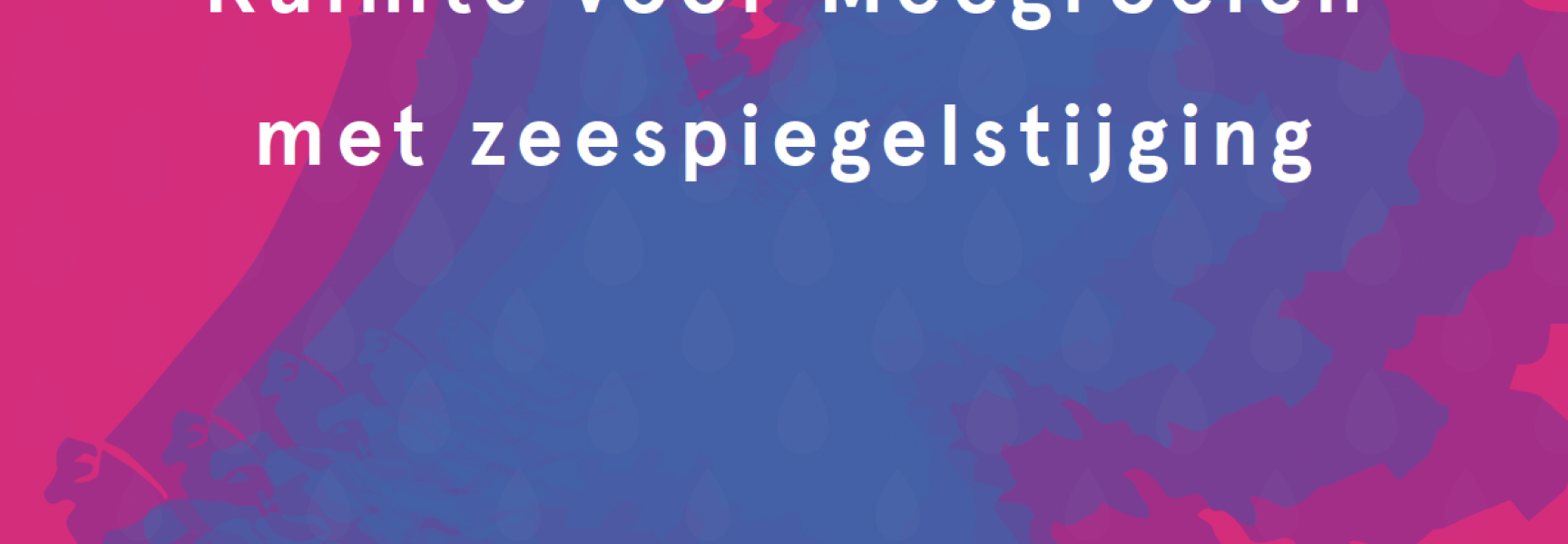Boek Ruimte voor Meegroeien met zeespiegelstijging