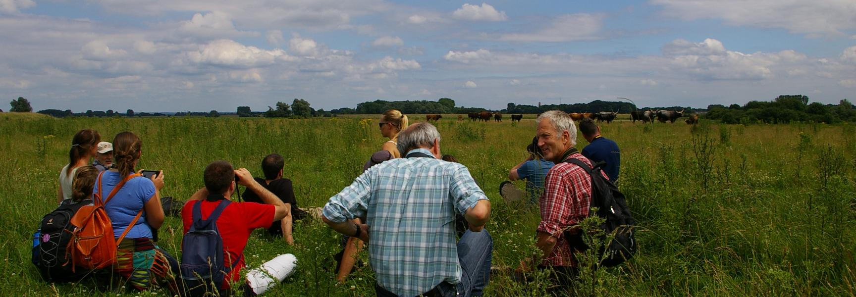 Cursus natuurlijke begrazing