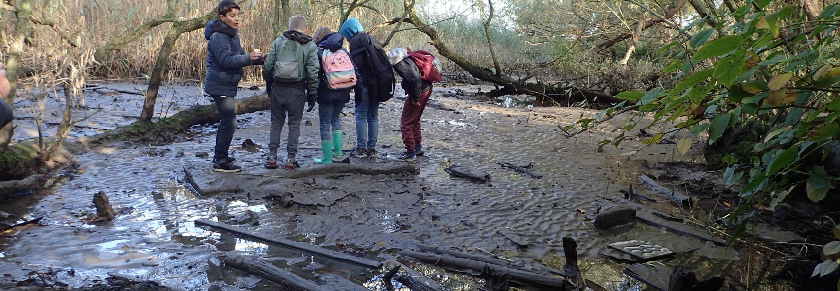 ARK Struintocht Eiland van Brienenoord voor WNF Rangers - vol | ARK ...