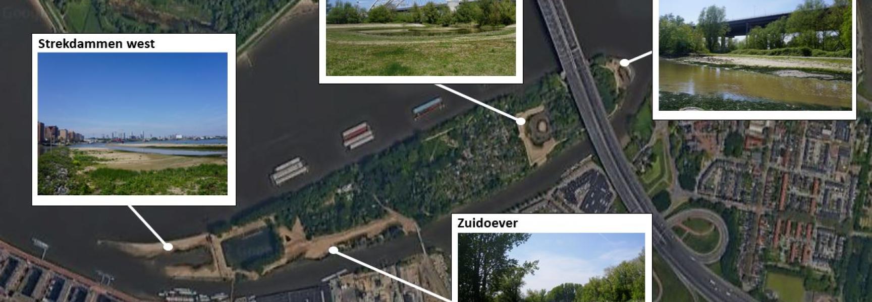 Oevers van het eiland van Brienenoord 