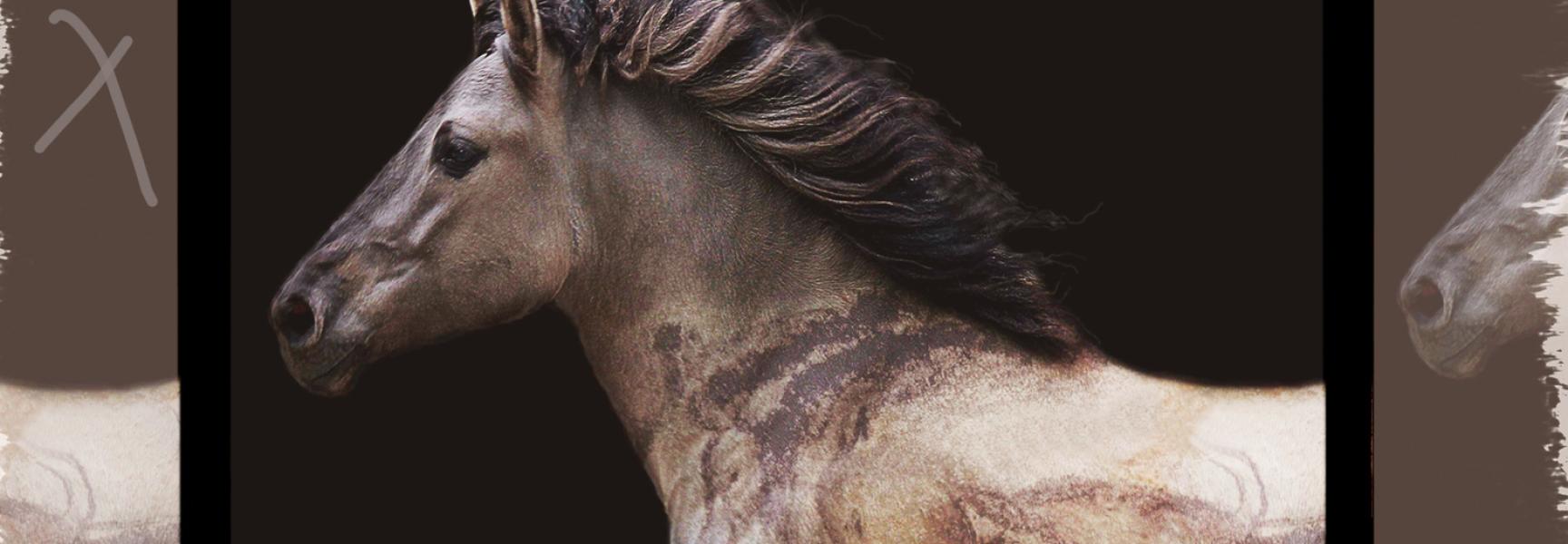 TARPAN REPAINTING AN ANCIENT PICTURE