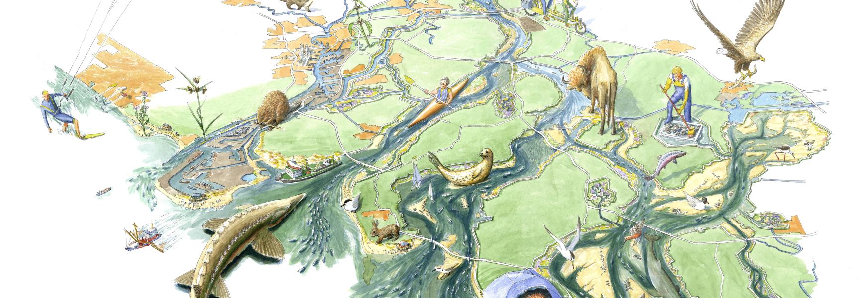 Zuidwestelijke Delta