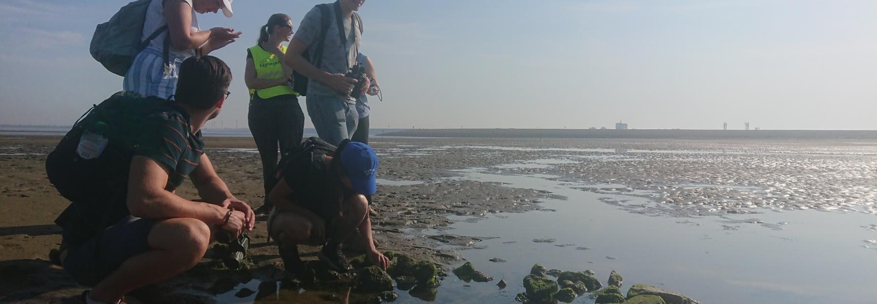 Studenten genieten van het Haringvliet