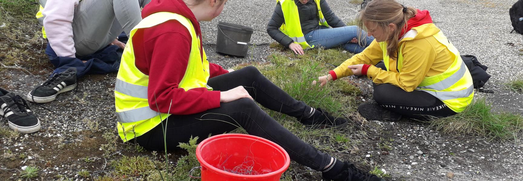 Delta Talent bij de Noordzee