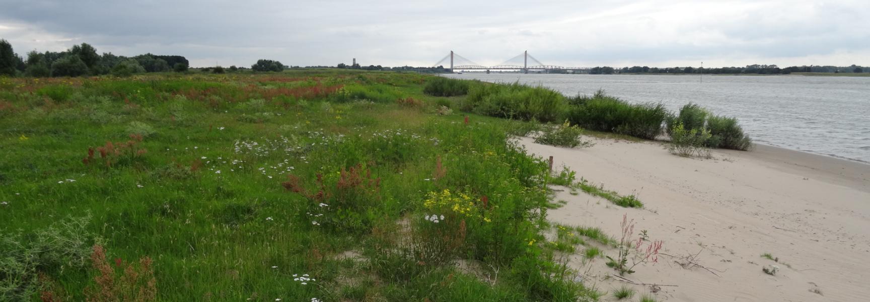 Oeverwal Waal, foto: Gijs Kurstjens