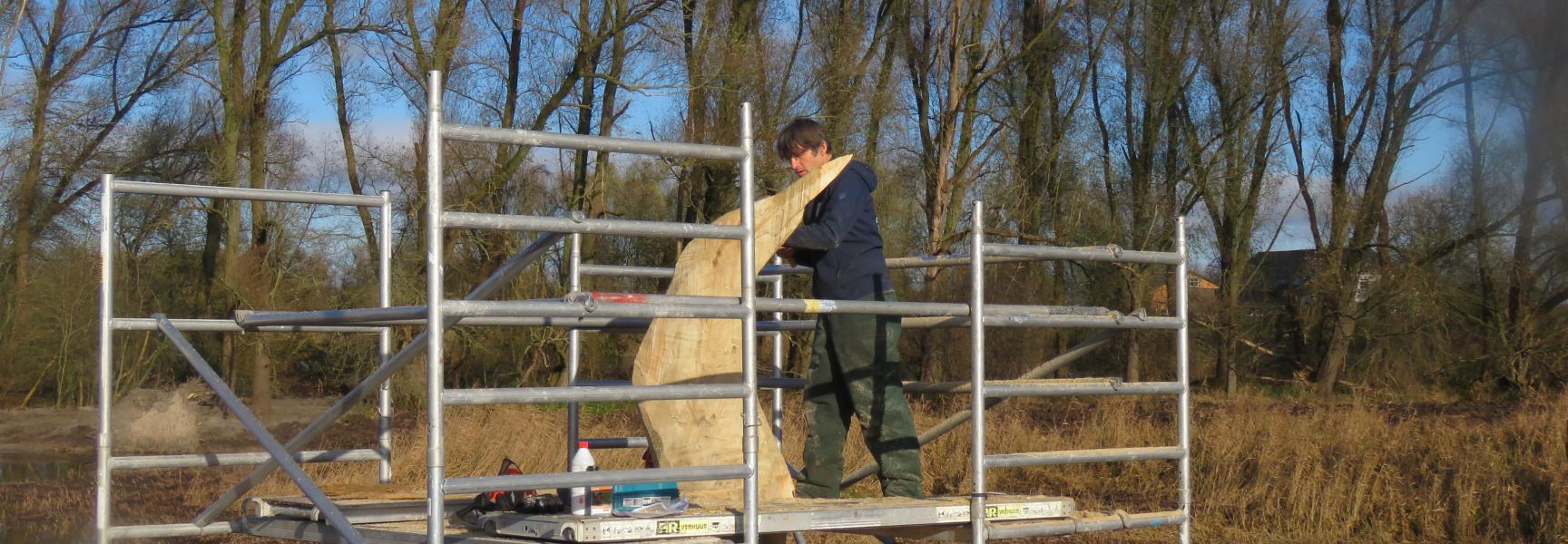 Roerdomp uit de stam van een populier in Ooijse Graaf. 