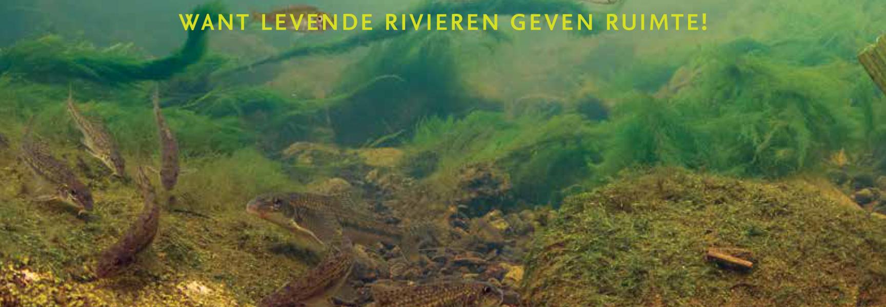 Ruimte voor Levende Rivieren