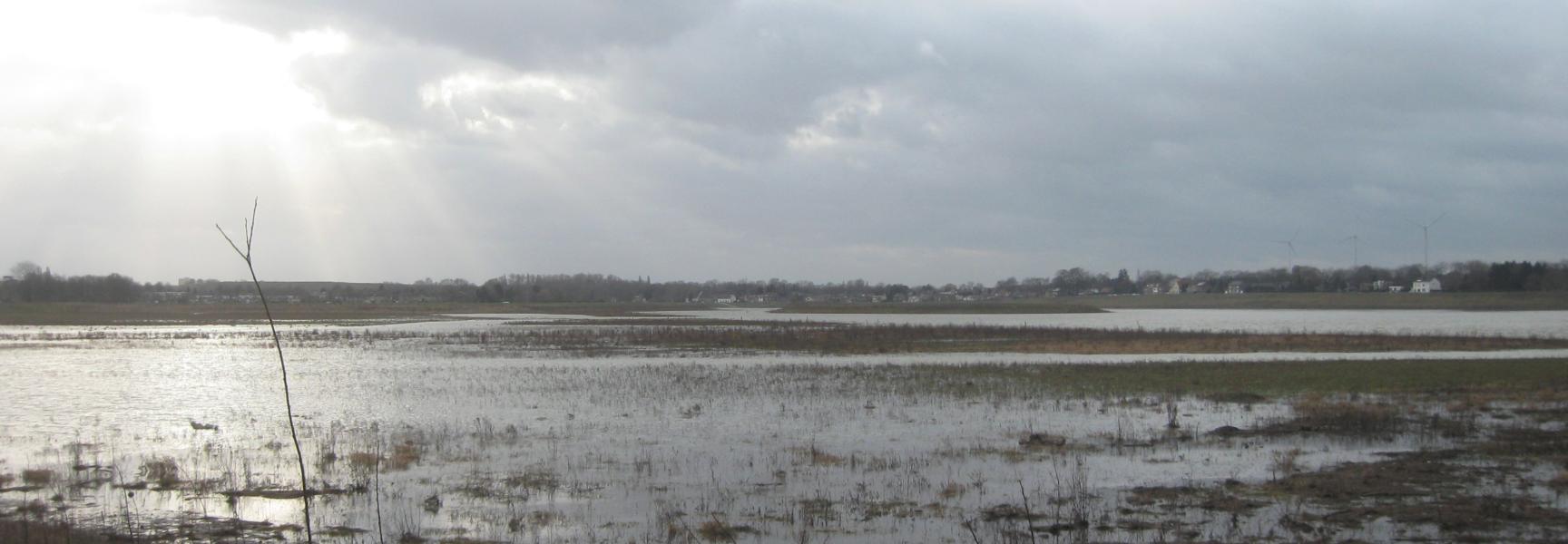 Hoogwater Grensmaas januari 2015