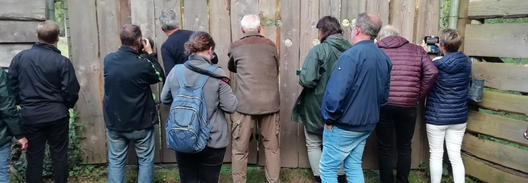 Edelherten spotten bij het kijkscherm. Foto: Arnold van den Broek