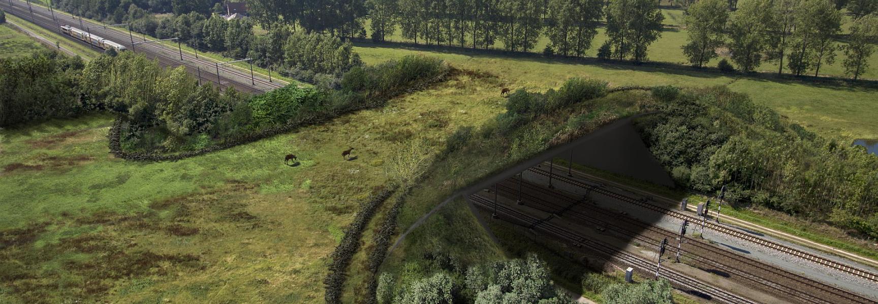 Toekomstimpressie spoorwegecoduct de Mortelen. Bron: ProRail.