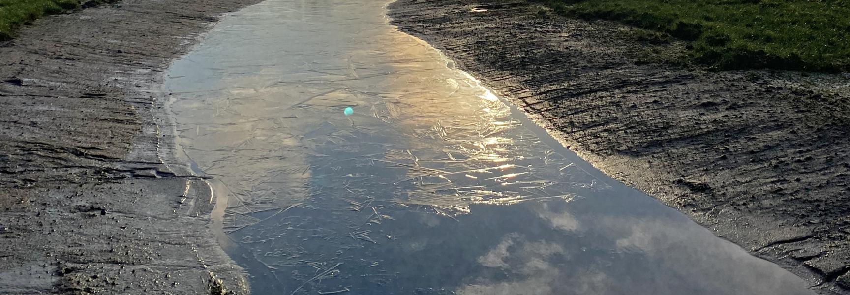 Slenk in de Leemskuilen in Het Groene Woud.