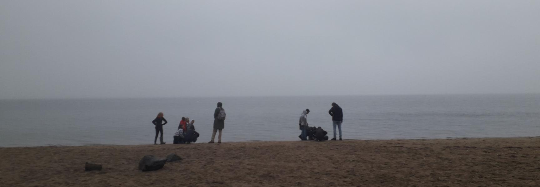Veldles aan het Haringvliet