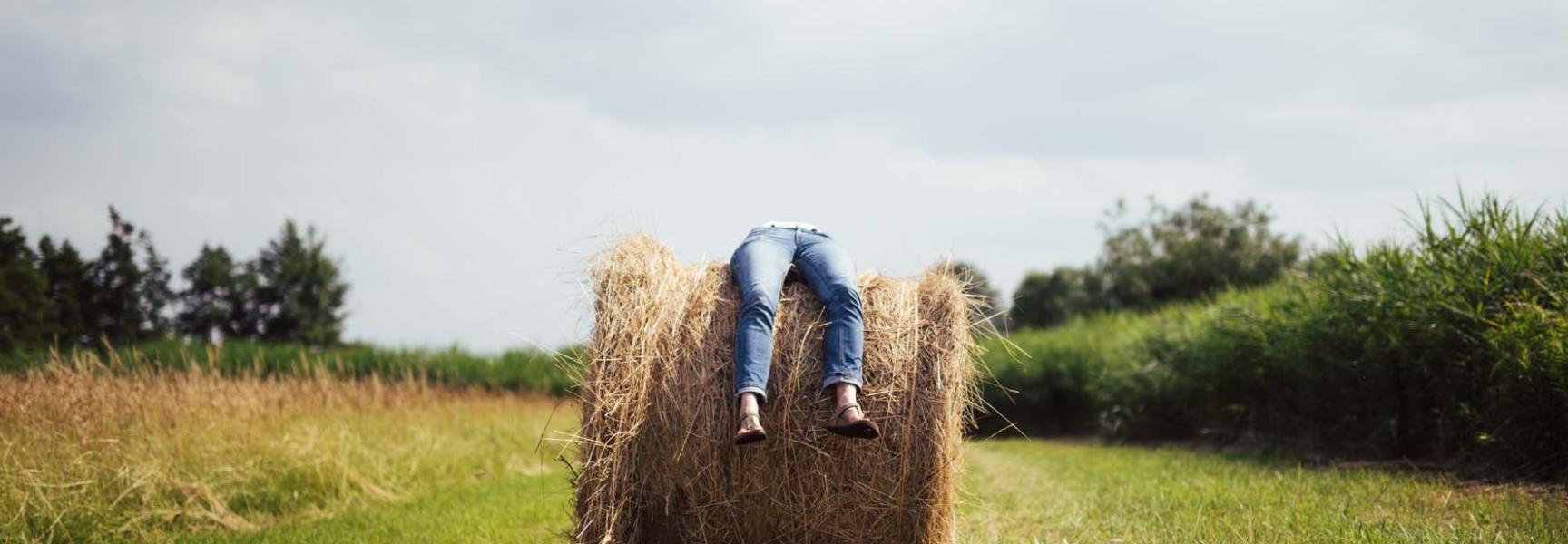 Het Laatste Eiland. Foto: Ruben Hamelink