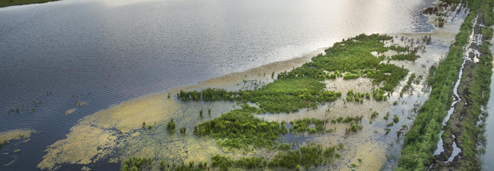 Klimaatbuffer Raamweide, foto: Bob Luijks