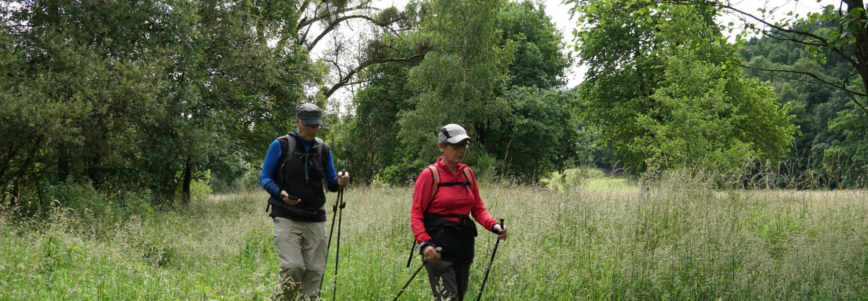 Geocachers in het Kempen~Broek