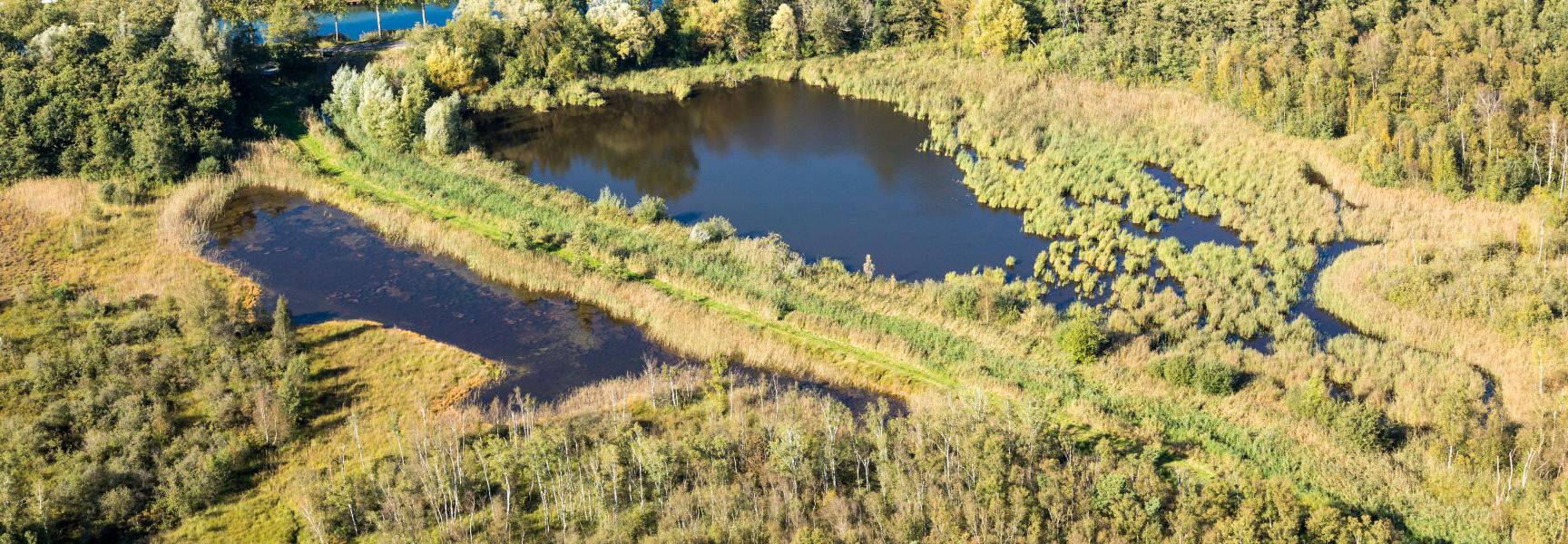 Kruispeel, foto: Erwin Christis