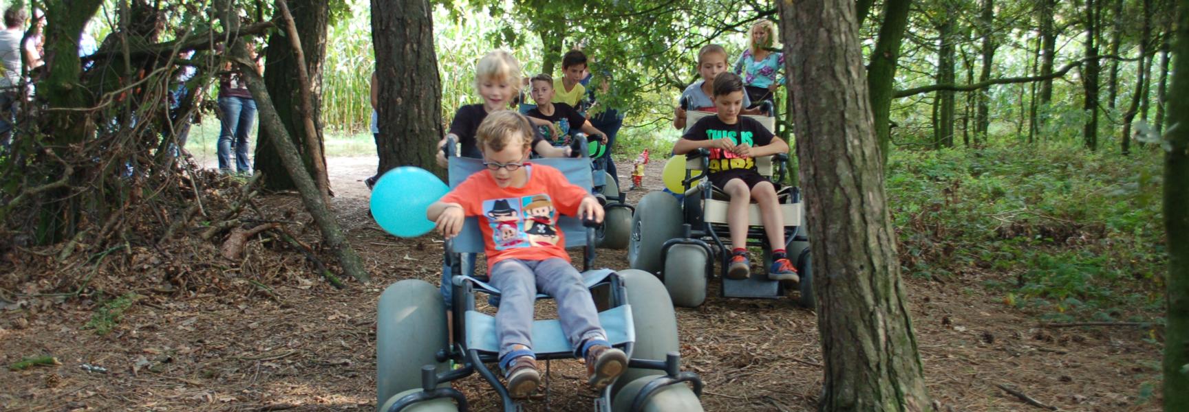 Struinstoel Maashorst