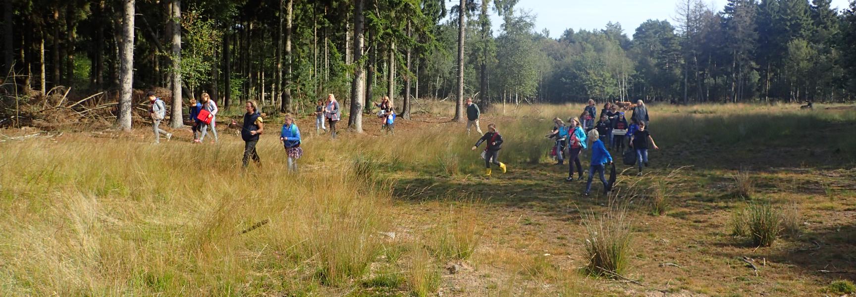 Veldlessen Maashorst