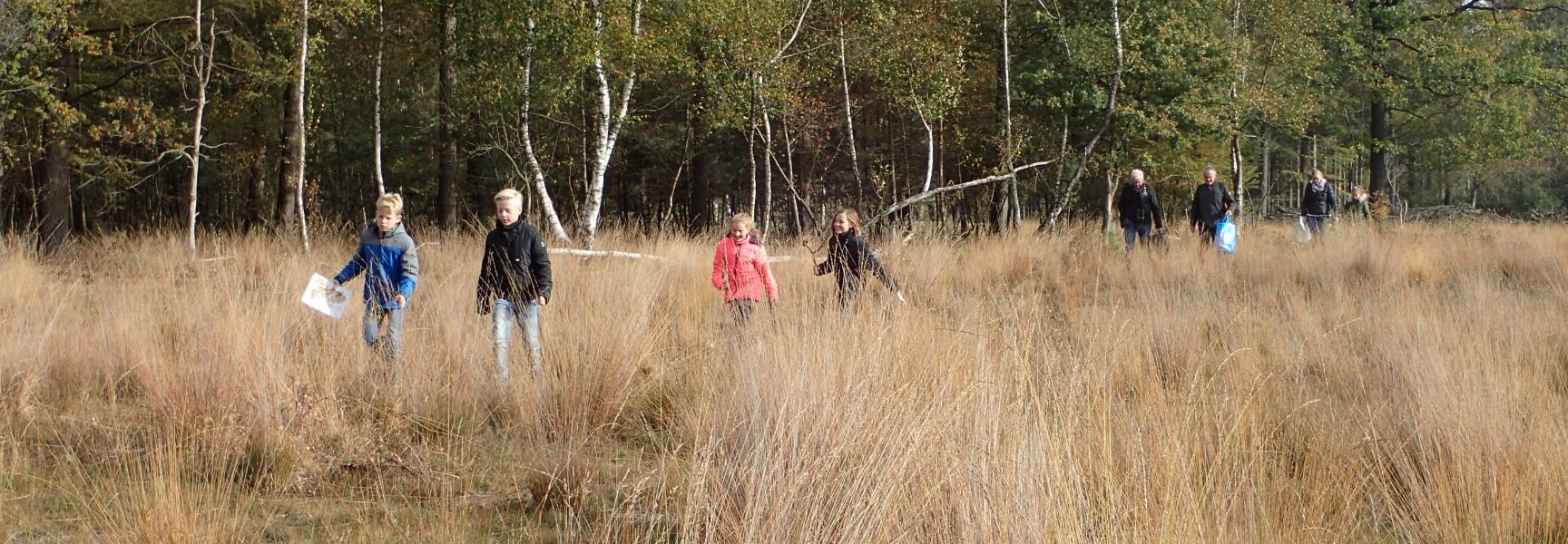 Veldles op de Maashorst