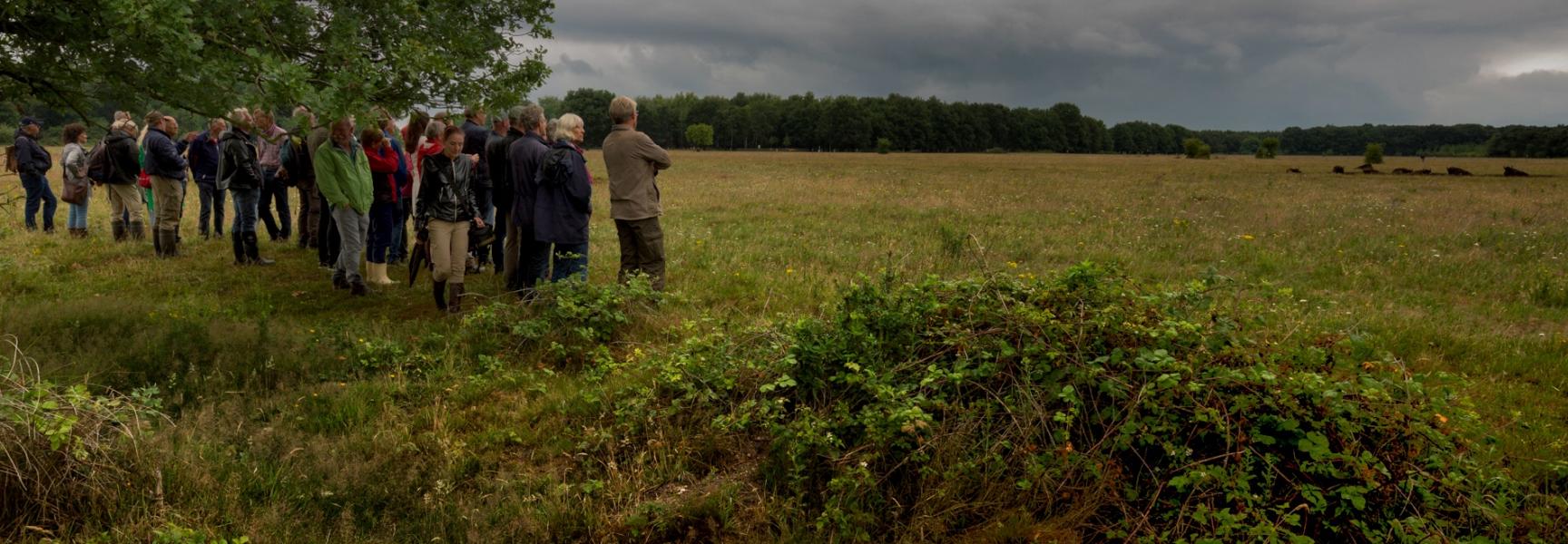 Open dag wisentgebied. Foto: Hans Koster, HKNatuurfotografie