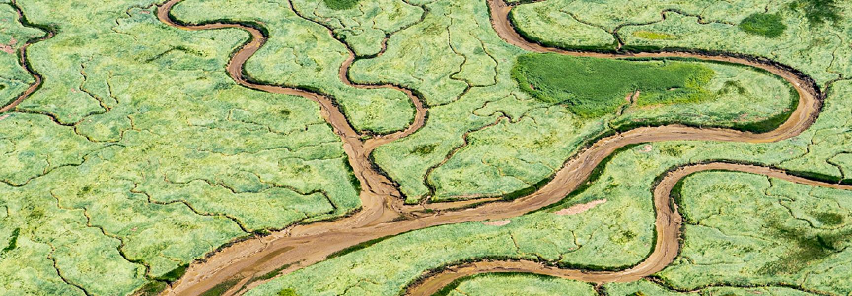 Monding Rijn Praat mee over de toekomst van de Rijn Maasmonding | ARK Rewilding ...