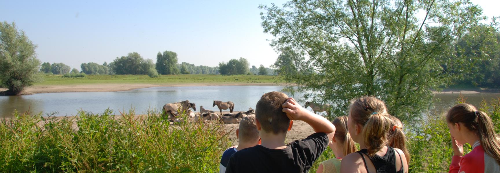 Rangertocht uiterwaarden Waal bij Nijmegen