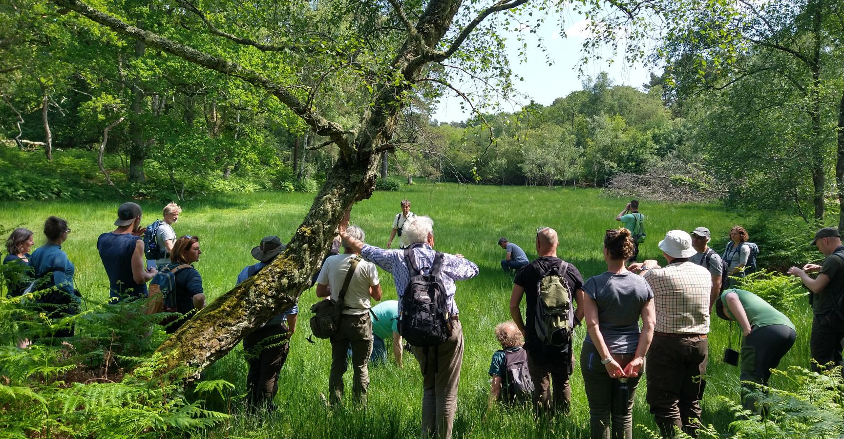 Initiatieven op reis naar Knepp Estate zomer 2023