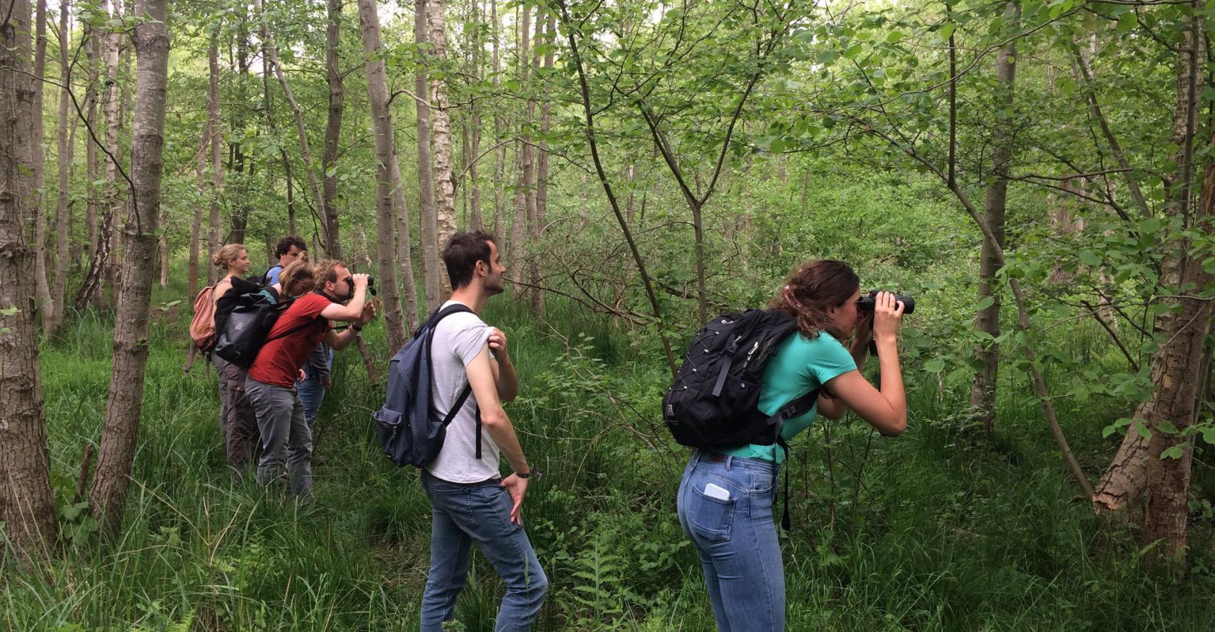 Jonge Rewilders in het Groene Woud