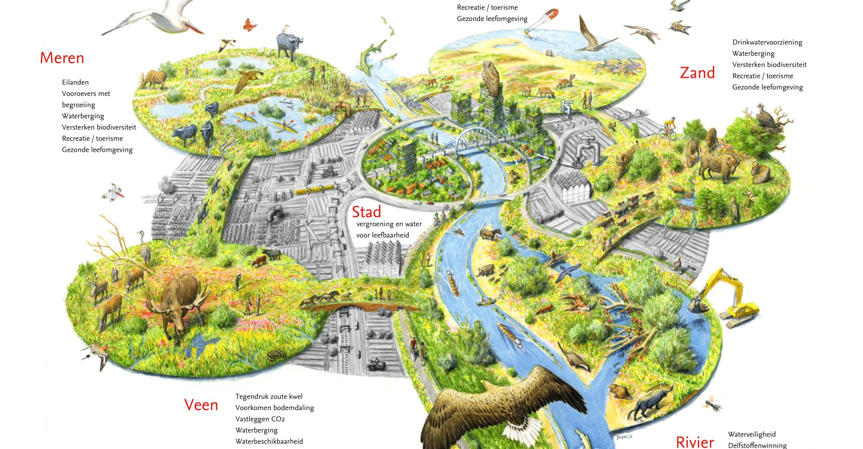 Illustratie Nature-based solutions door Jeroen Helmer