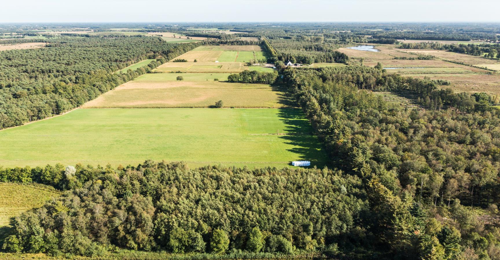Kettingdijk - Foto: Erwin Christis