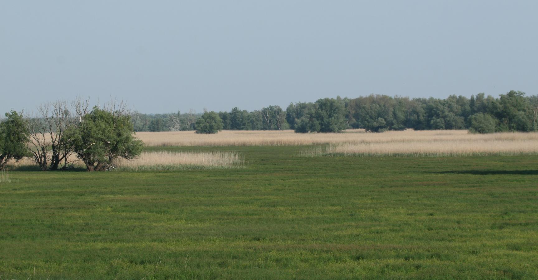 Floodplain Donau Kopacki rit