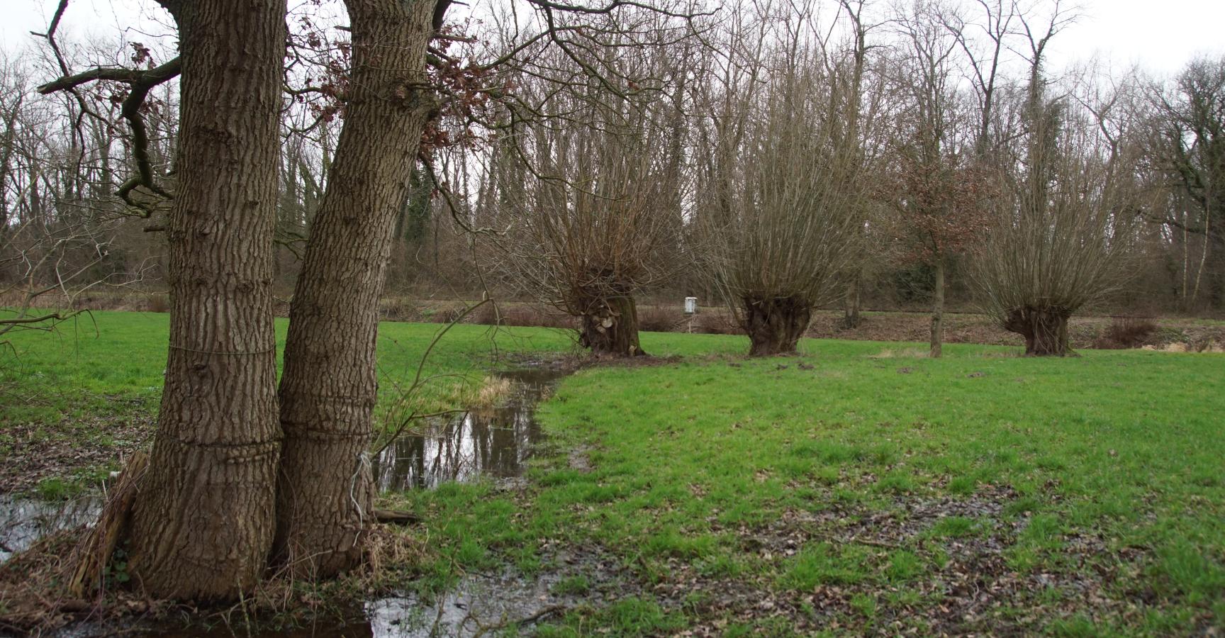 Beeld van het projectgebied rond Kasteren (Foto: Bert Vervoort)