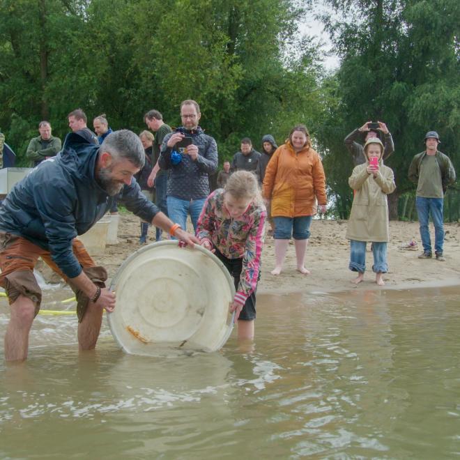 Steurenuitzet bij Woudrichem