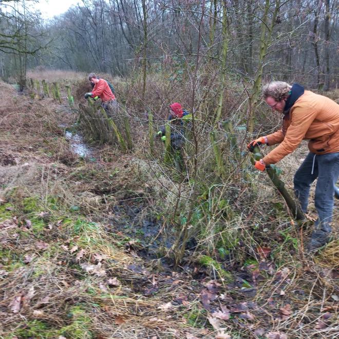 Jonge Rewilders aan het onthekken in KB