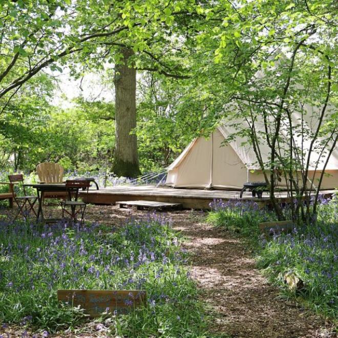 Glamping Knepp Wilding